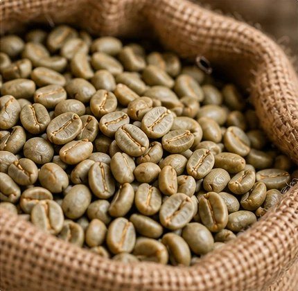 Washed green coffee beans